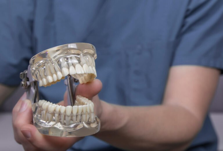 What Are the Different Types of Teeth?